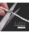 5m 4,8W/m RGB LED strip - 12V DC, IP20, 30 LED pr. meter