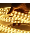 Outlet: 5 m. vandtæt LED strip (Type Y) - 230V, IP67, 120 LED, 10W/m