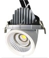 LEDlife 30W Downlight - Justerbar vinkel, 3100lm, Hul: Ø15,5 cm, Mål: Ø16,5 cm, 230V