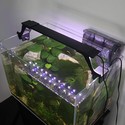 53-73cm akvarie armatur - 14W LED, hvid/blå, justerbar