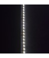 5m 11W/m Sidelys LED strip - 24V DC, IP20, 120 LED pr. meter