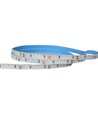 LEDlife 11W/m sidelys LED strip - 5m, IP20, 24V, 120 LED pr. meter