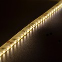 LEDlife 11W/m sidelys LED strip - 5m, IP65, 24V, 120 LED pr. meter