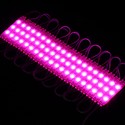 Vandtæt pink LED modul - 1,1W pr. stk, IP66, 12V, Perfekt til skilte og specialløsninger