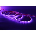 12W/m RGBIC LED strip - 5m, minimum 25 meter IP68, 60 LED pr. meter, 230V