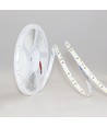 LEDlife 12W/m LED strip RA97 - 5m, 24V, IP20, 120 LED pr. meter