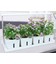 LEDlife hydroponisk plantebakke - Hvid, inkl. vækstlys, 12 pladser, 4x2L vandtank
