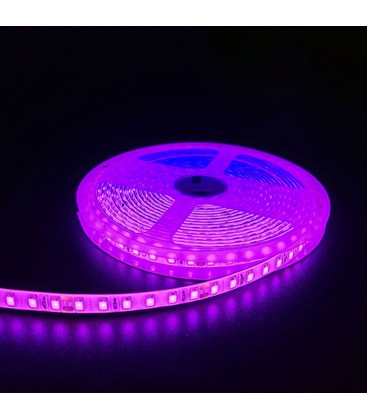 Pink 10W/m LED strip - 5m, 120 LED pr. meter, 24V, IP65