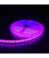 Pink 10W/m LED strip - 5m, 120 LED pr. meter, 24V, IP65