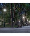 E27 36W LED pære - 360°, Matteret glas