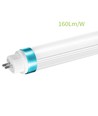 Outlet: T5-LED 145 - 25W LED rør, 160 LM/W, 144,9 cm