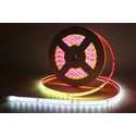 12W/m RGBIC LED strip - 5m, IP68, 60 LED pr. meter, 24V