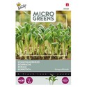 Outlet: Microgreens - Borago, almindelig hjulkrone