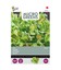 Microgreens - Blandet salat