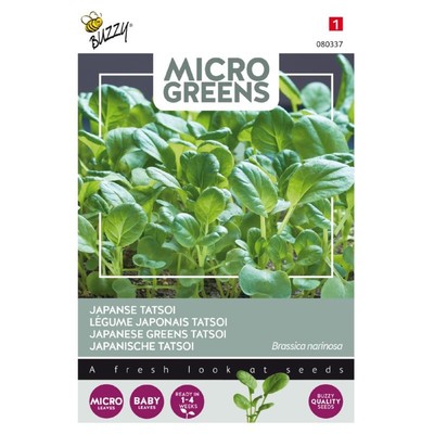 Microgreens – Japansk grøn Tatsoi