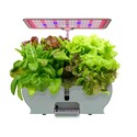 LEDlife hydroponisk køkkenhave - Hvid, inkl. vækstlys, 9 pladser, timer, 3L vandtank