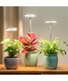 LEDlife plantelys med spyd - 12W, timer, dæmpbar, justerbar højde