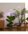 LEDlife plantelys med spyd - 12W, timer, dæmpbar, justerbar højde