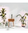 LEDlife plantelys med spyd - 12W, timer, dæmpbar, justerbar højde