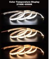 16W/m CCT COB-LED strip - 5m, IP20, 512 LED pr. meter, 24V, RA97