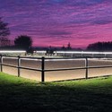 5 m. vandtæt Neon COB strip - 230V, IP67, 288 LED, 11,5W/m, kan klippes for hver 10cm