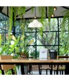 Ø24,5cm E27 pendel i glas - Transparent, max 60W, 110cm højde, metal base