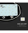 12W oval LED loft/væglampe - IP54, sort, 3000K, 24,2 x 16,5 cm