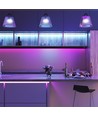 10W/m - LED Stribe Lys RGB Sæt IP20 EU Stik (5m/rulle).