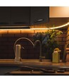 60 LED stribelys 5W/m S form - 6400K, 12V, IP20, 5m/rulle
