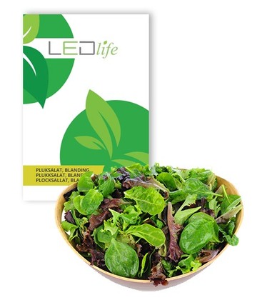 Outlet: Pluksalat frø - Baby Leaf blanding, 0,2g