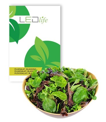 Restsalg: Pluksalat frø - Baby Leaf blanding, 0,2g