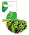 Outlet: Pluksalat frø - Baby Leaf blanding, 0,2g