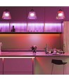 5m 11W/m rød LED strip - 12V, IP20, 60 LED pr. meter, 5050 SMD