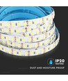 120 LED Stripslys 20W/m - 6400K, høj lumen, IP20, 5m/rulle