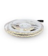 204 LED Stribelys 17W/m - 3000K, IP20, 5m/rulle