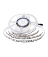 120 LED strip lys 8W/m - 6500K, IP20, 24V, Dobbelt PCB, 10m/rulle