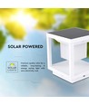 2W Solara LED bedlampe med sensor - IP65, 3000K, hvid, solcelle, 3 års garanti