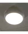 320mm 8W/16W/20W LED bulkhead - Samsung LED chip, IP65, IK08, 3-i-1 CCT, rund, hvid kant