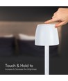 3W LED Bordlampe - Touch Dæmpbar, Transparent Stang, 3000K, Hvid Hus