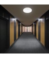 15W LED loft/væglampe med sensor - Samsung LED chip, 3-i-1 CCT, IP44, hvid, rund, Ø25cm