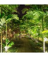 12W LED havespot med spyd - IP65, Grønt lys, hvidt kabinet, aluminium