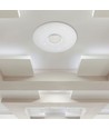 40W Designer Dome LED loftslampe med stjerneeffekt - 4000lm, dæmpbar, CCT, fjernbetjening, Ø39cm