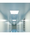 36W LED Panel - 2i1 Bagbelyst, 595x595mm, 4000K, 120lm/W
