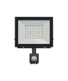 Noctis Lux 4 projektør 50W - varm hvid, 230V, IP44, 176x221x53mm, sort, PIR sensor
