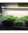 LEDlife Pro-Grow 2.0 vækst sæt - 2 x 90 cm, 30W LED, fuldt spektrum