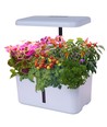 LEDlife hydroponisk køkkenhave - Hvid, inkl. vækstlys, 10 pladser, timer, 2,8L vandtank