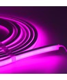 5m 8W/m AnyCut Neon Flex 10x10 Lilla/Pink LED strip - 12V DC, Lilla/Pink, Ingen klippeafstand