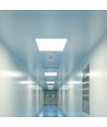 60x60 LED Panel, 40W - Højde:12,5mm, 124lm/W, hvid kant