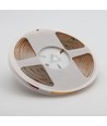 5m 4W/m Dot-free COB-LED strip RA95 - 24V DC, 2700K, IP20, 320 LED/m, 5 års garanti