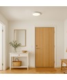 18W dæmpbar LED loftslampe - Ø22,5cm, Højde: 3,9cm, hvid kant, inkl. lyskilde